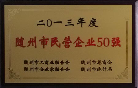 2013年度随州市民营企业50强